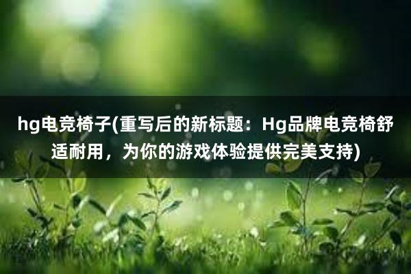 hg电竞椅子(重写后的新标题：Hg品牌电竞椅舒适耐用，为你的游戏体验提供完美支持)