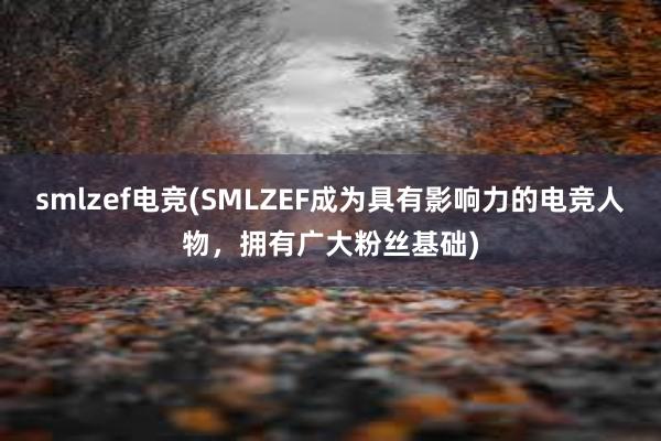 smlzef电竞(SMLZEF成为具有影响力的电竞人物，拥有广大粉丝基础)