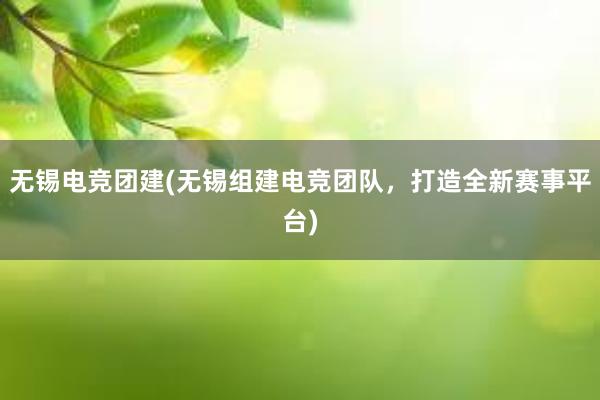 无锡电竞团建(无锡组建电竞团队，打造全新赛事平台)