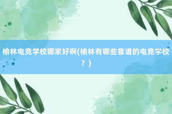 榆林电竞学校哪家好啊(榆林有哪些靠谱的电竞学校？)