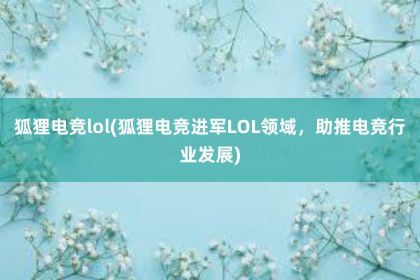 狐狸电竞lol(狐狸电竞进军LOL领域，助推电竞行业发展)