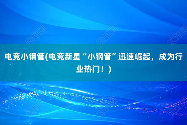 电竞小钢管(电竞新星“小钢管”迅速崛起，成为行业热门！)