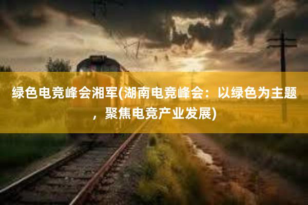 绿色电竞峰会湘军(湖南电竞峰会：以绿色为主题，聚焦电竞产业发展)