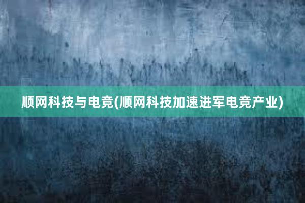 顺网科技与电竞(顺网科技加速进军电竞产业)