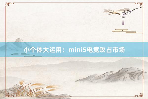 小个体大运用：mini5电竞攻占市场