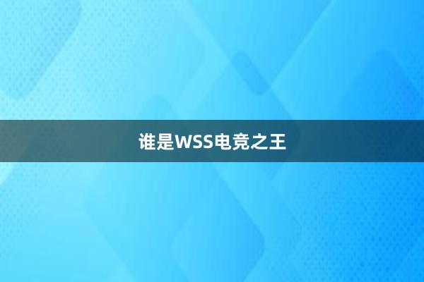 谁是WSS电竞之王