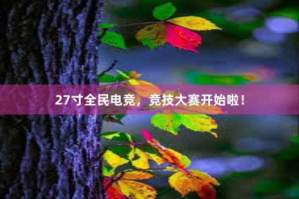 27寸全民电竞，竞技大赛开始啦！