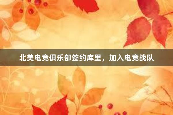 北美电竞俱乐部签约库里，加入电竞战队