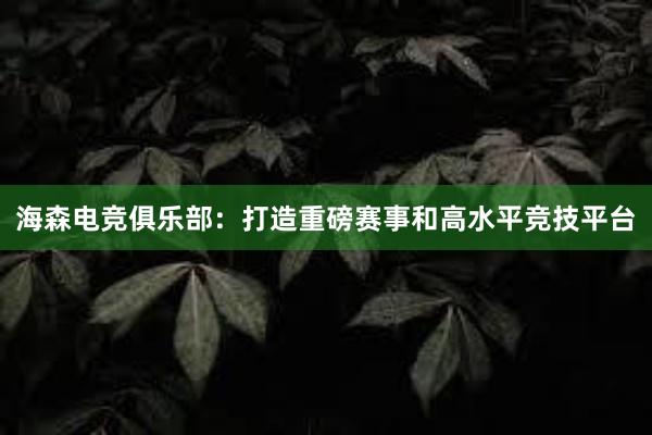 海森电竞俱乐部：打造重磅赛事和高水平竞技平台