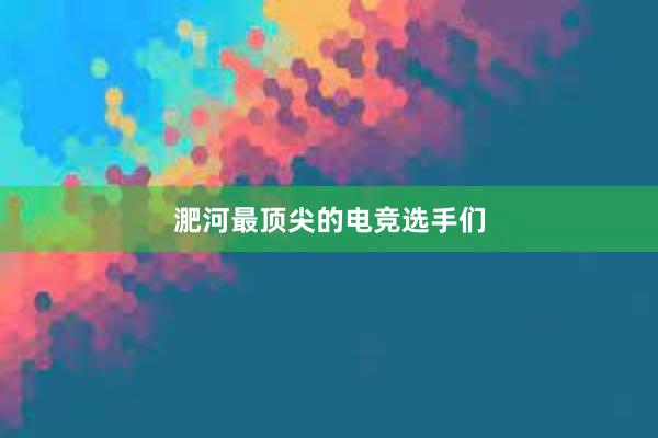 淝河最顶尖的电竞选手们