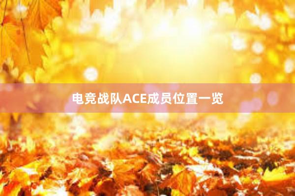 电竞战队ACE成员位置一览