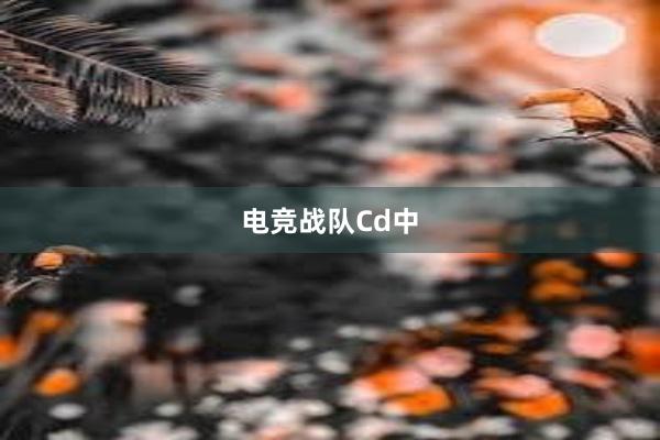 电竞战队Cd中