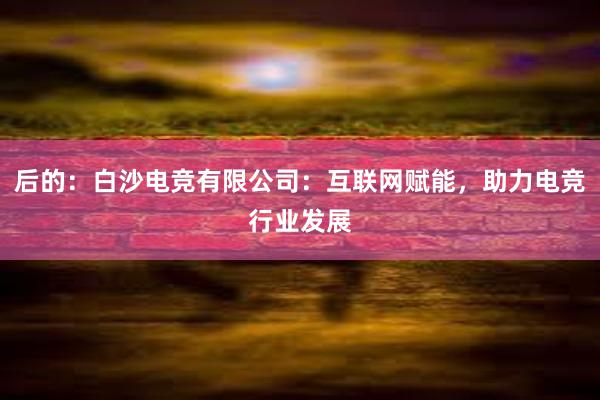 后的：白沙电竞有限公司：互联网赋能，助力电竞行业发展