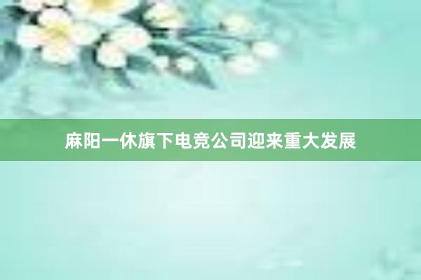 麻阳一休旗下电竞公司迎来重大发展